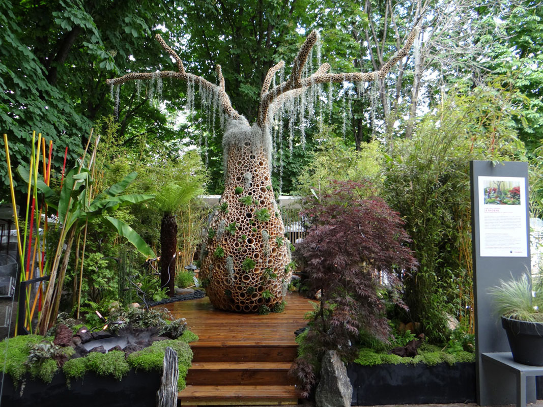 design végétal d'un arbre en bambou, le baobab