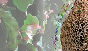 Jardins de Babylone souhaite de bonnes fêtes de fin d'année à tous ces clients et futures clients