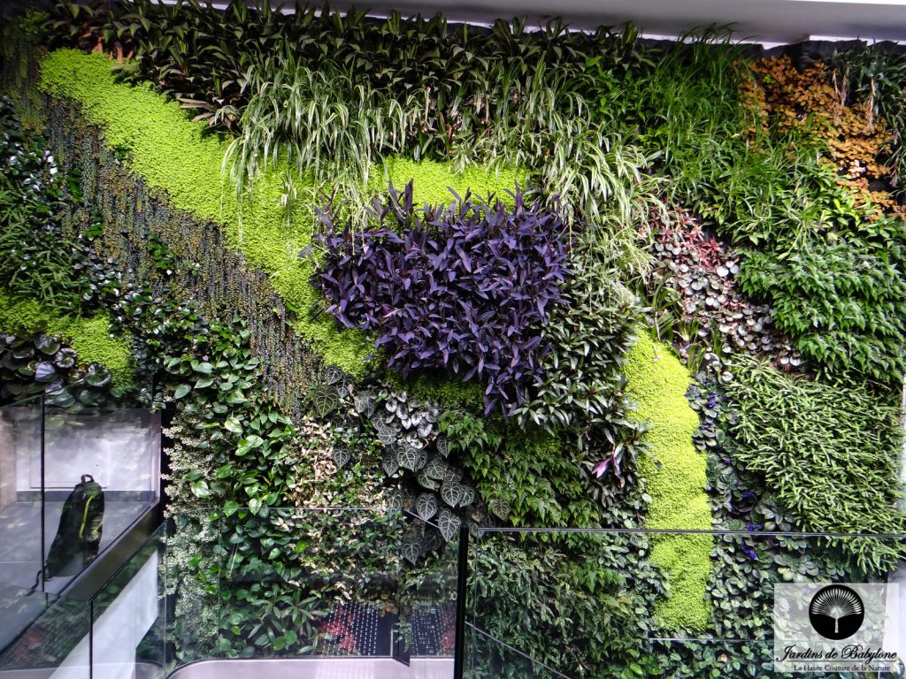 Crédit Agricole Immobilier plantes