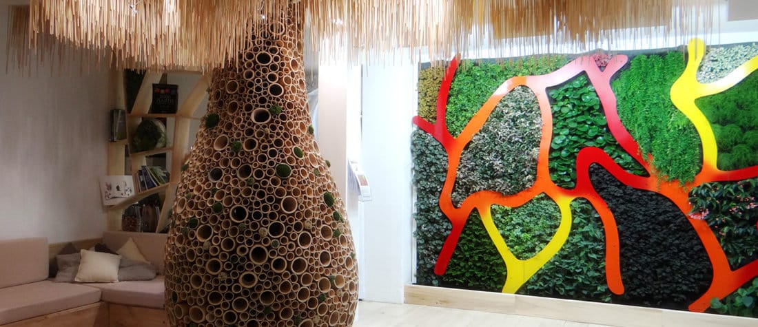 Design végétal - - Jardins de Babylone