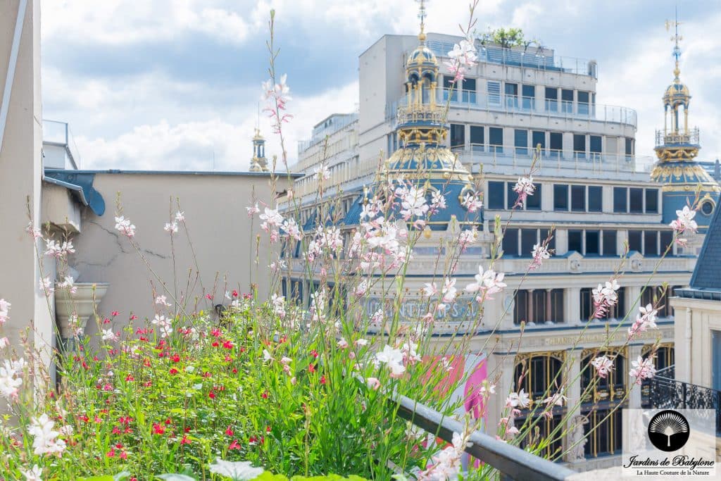 terrasse avec vue de printemps