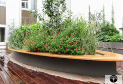 une terrasse bois sur les champs elysées composée de plantes mellifères apportant de la biodiversité en ville
