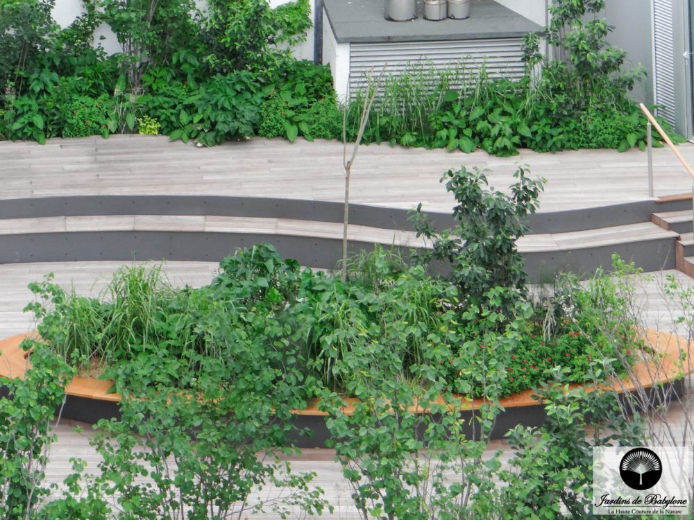 champs elysées terrasse plante verte