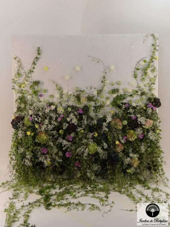 Comptoir des cotonniers fleur stabilisée