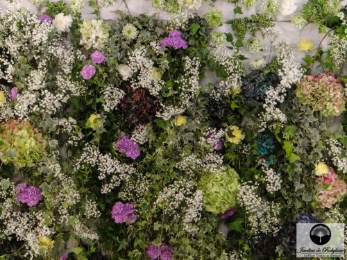 Comptoir des cotonniers fleurs stabilisées