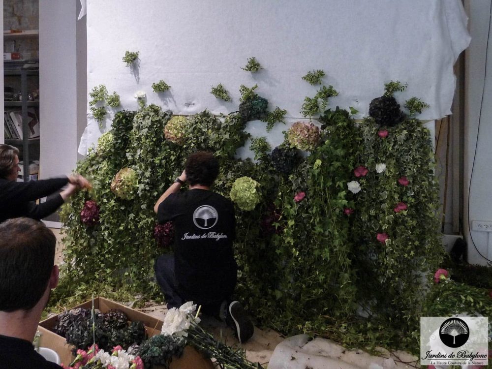 Comptoir des cotonniers plantes stabilisé