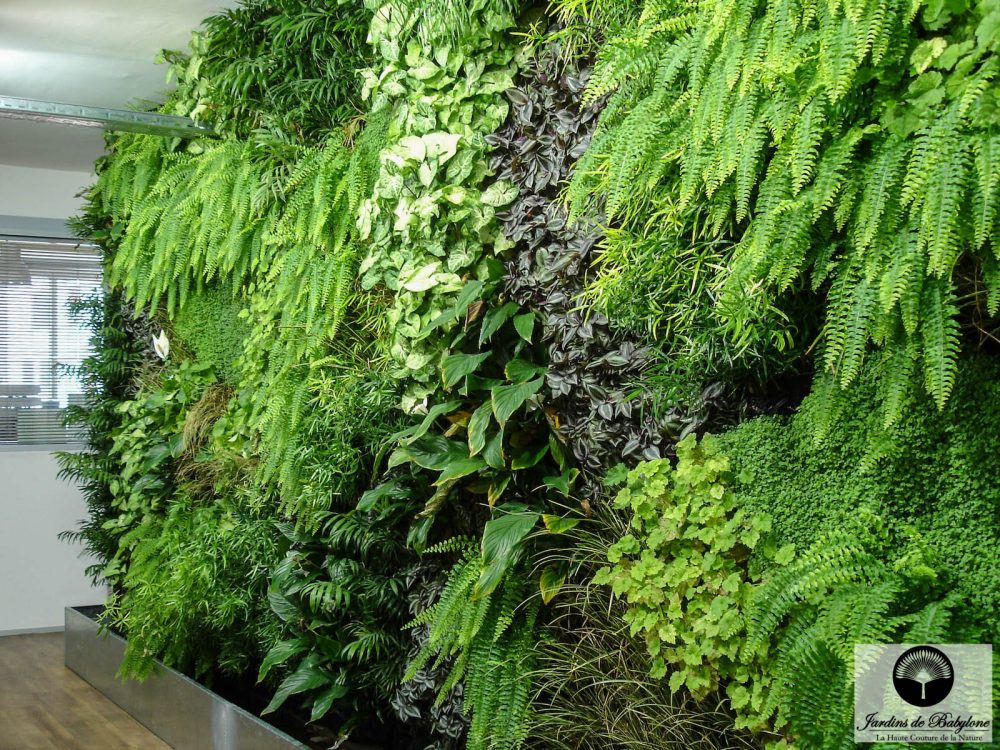 jardin vertical agence sein de l'agence utopies