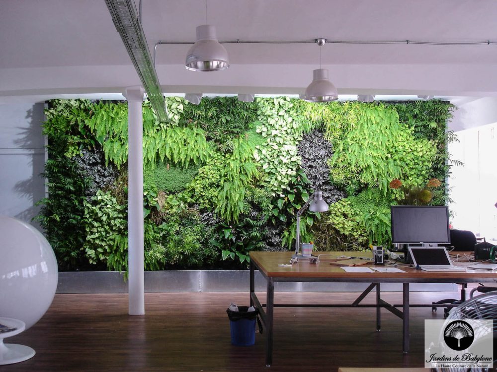 mur végétal bureau de l'agence utopies