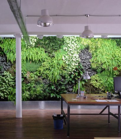 mur végétal bureau de l'agence utopies