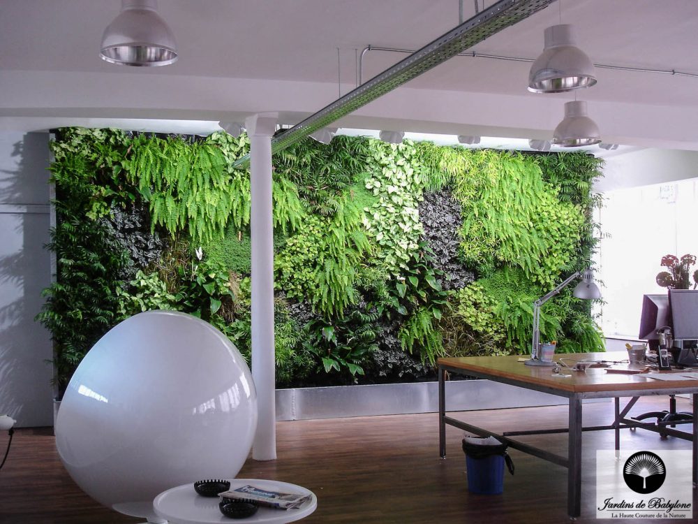 amenagement bureau par un mur vegetal interieur a l'agence utopies vue