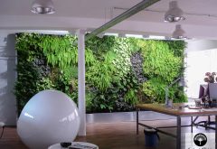 amenagement bureau par un mur vegetal interieur a l'agence utopies vue