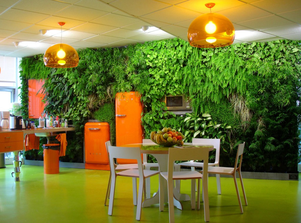 mur végétal d'intérieur dans une cuisine 