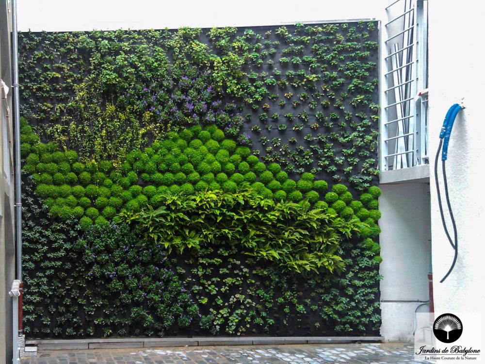 mur végétal extérieur hotel jules et jim