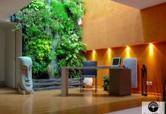 jardins vertical intérieur showroom montreuil