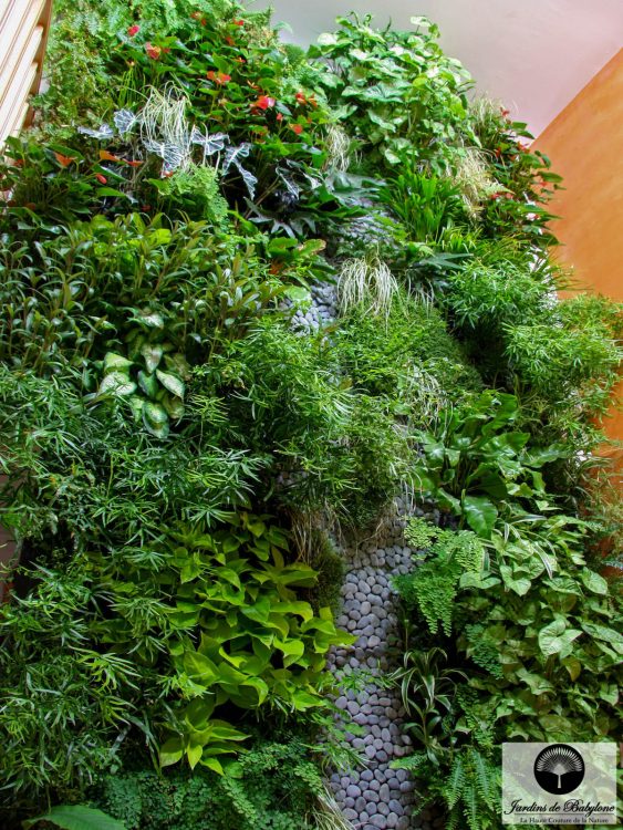 la rivière de galet d'un mur végétal en intérieur
