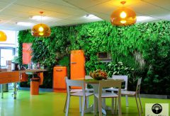 plantes tropicales d'un mur végétal d'intérieur
