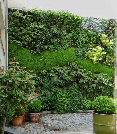 mur végétal hôtel jules et jim