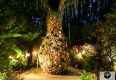 design végétal l'arbre en bambou la nuit