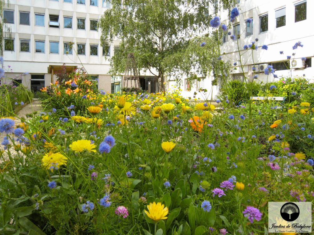 jardin médiéval