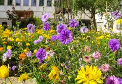 fonds de garantie fleur tableau