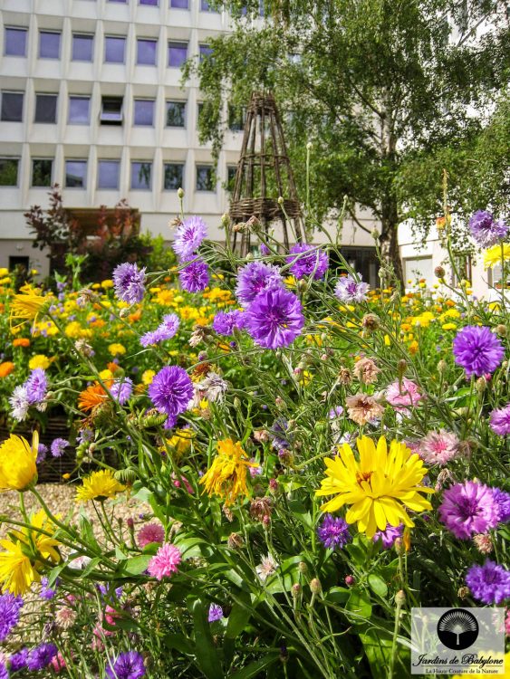 fonds de garantie fleur tableau