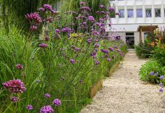 fonds de garantie violet fleur