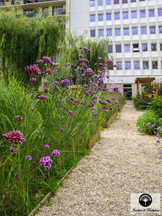 fonds de garantie violet fleur