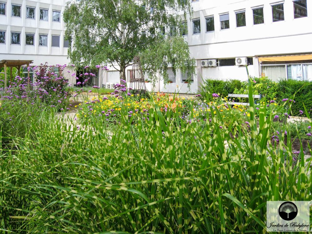 fonds de garantie herbe