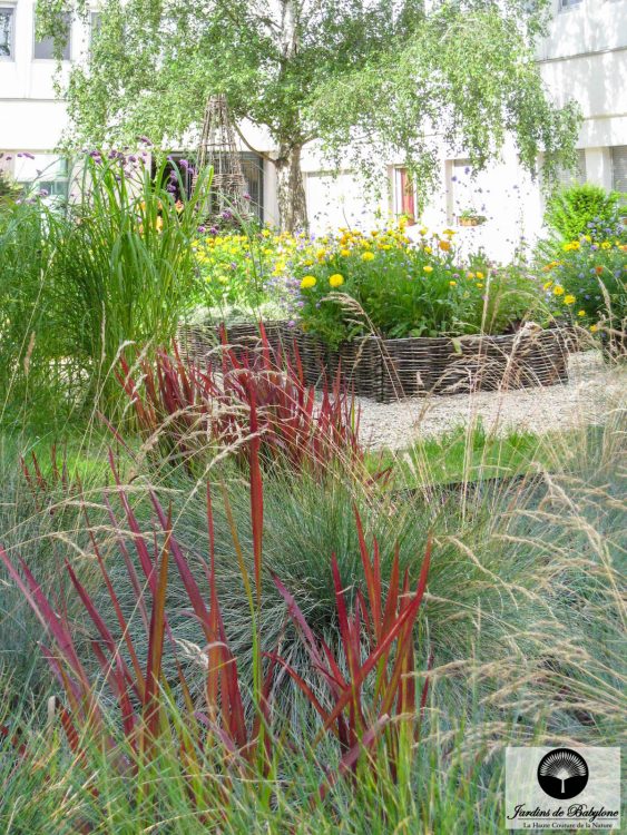 fonds de garantie shrubs