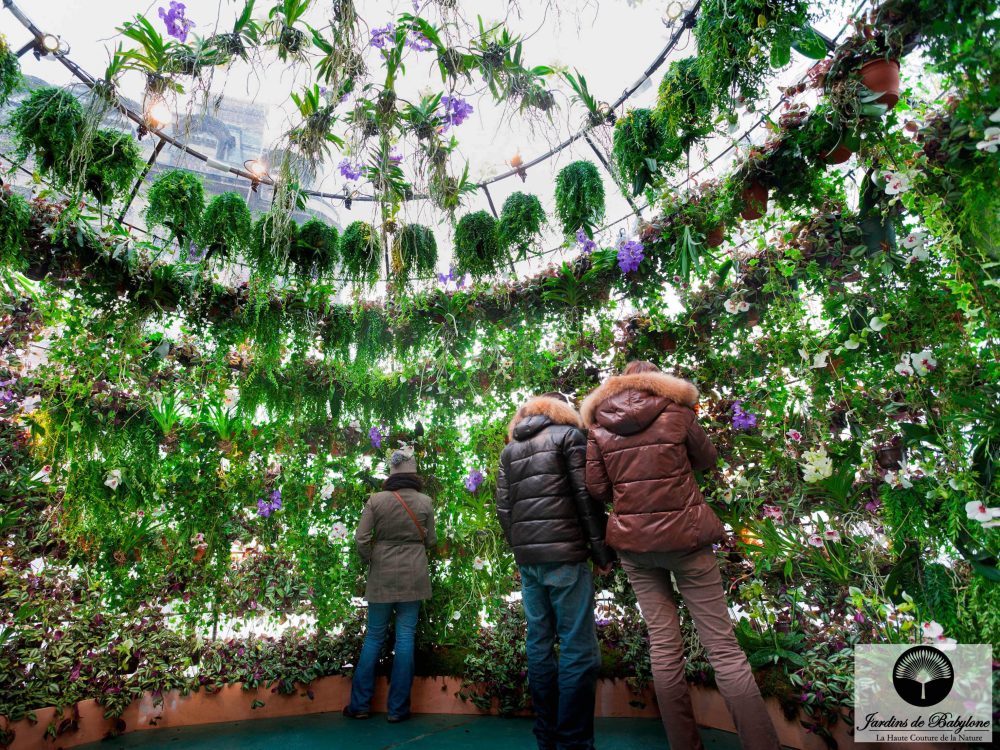 bienvenue a l'interieur de la bulle vert