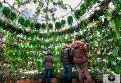 bienvenue a l'interieur de la bulle vert