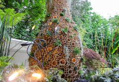 un jardin design et son baobab