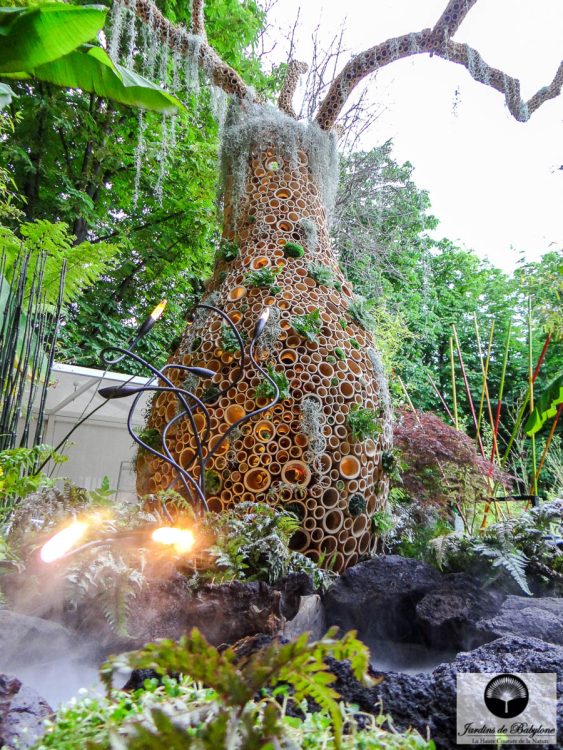 un jardin design et son baobab