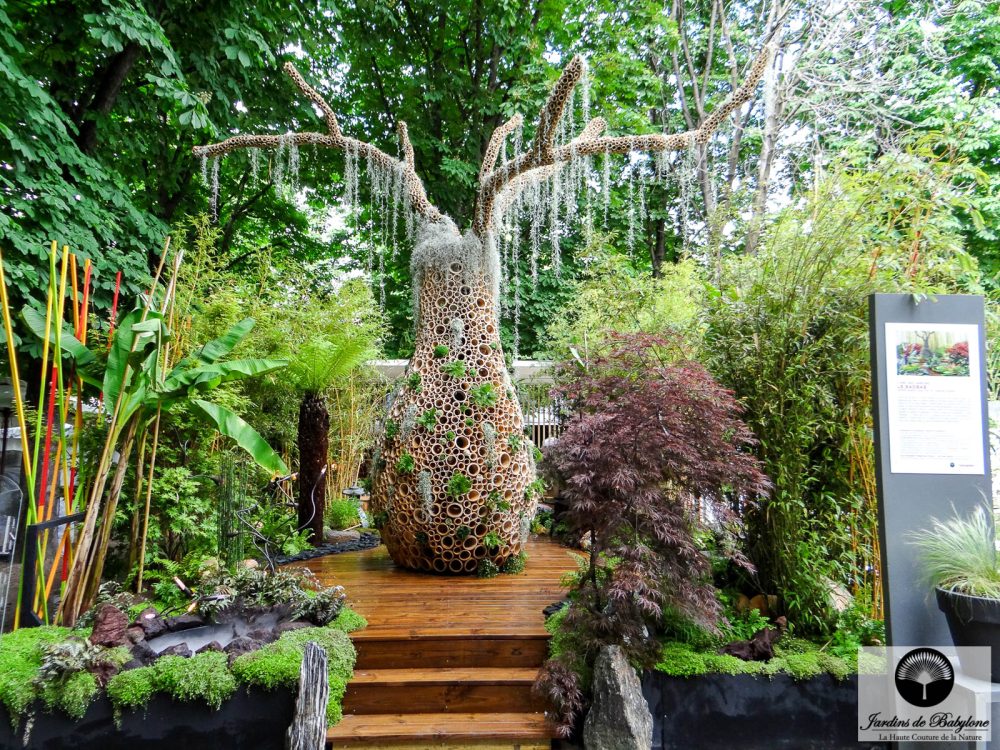 jardin moderne et design végétal