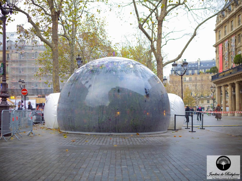bulle vegetale vue de l'exterieur