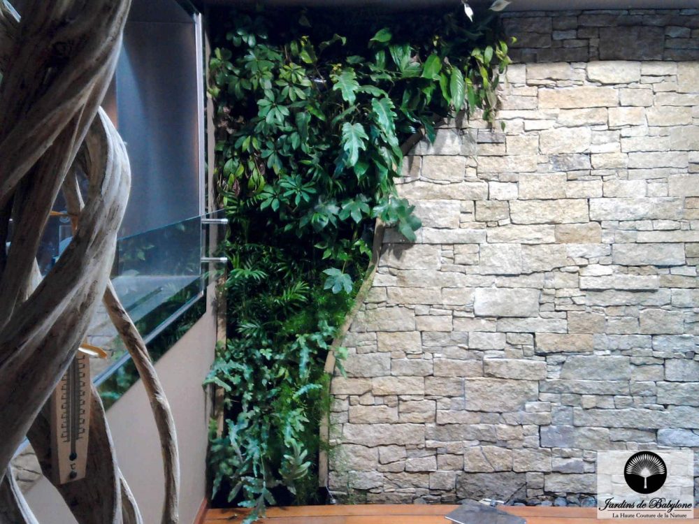 detail mur vegetal interieur dasn une piscine