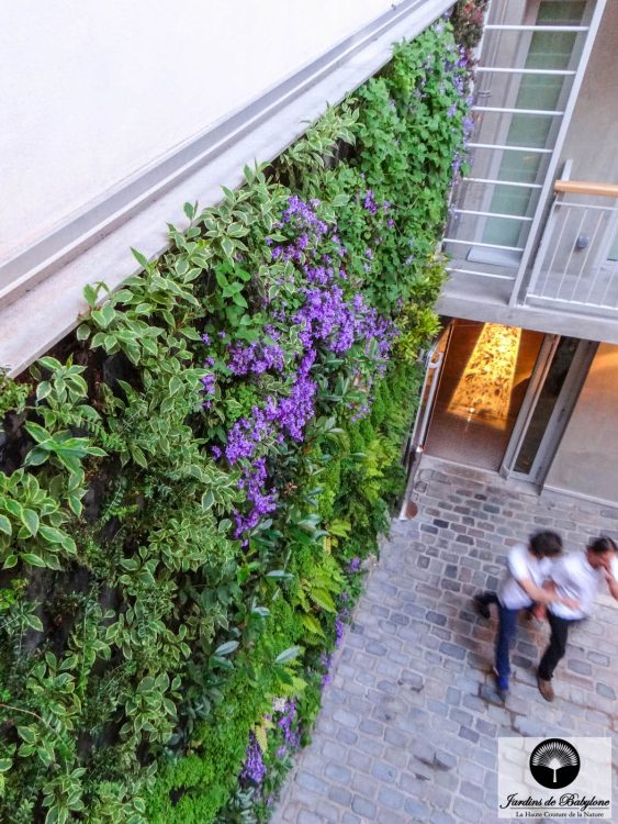 les murs végétaux de l'hotel jules et jim