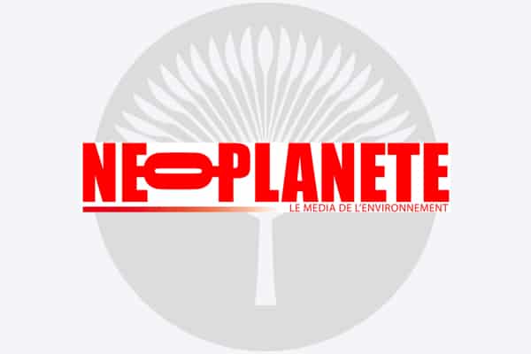 Neo Planete radio logo