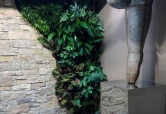 melange entre mur vegetal et pierre