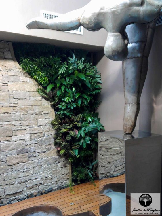 melange entre mur vegetal et pierre