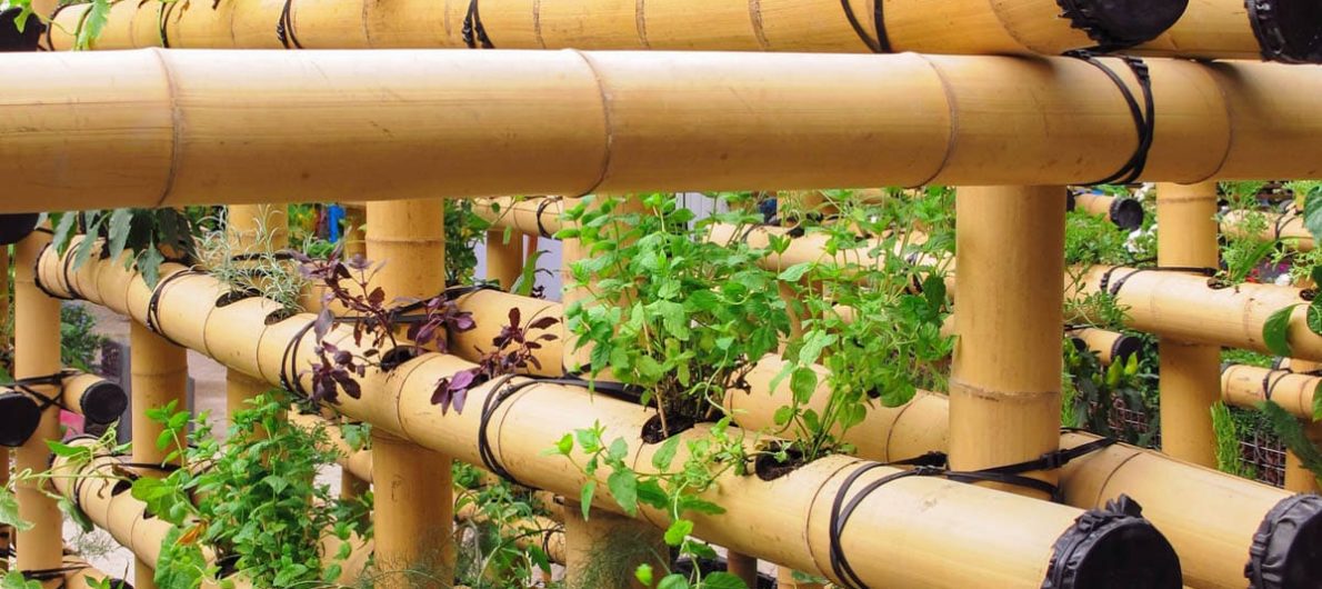 Potager urbain en bamboo