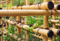 Potager urbain en bamboo