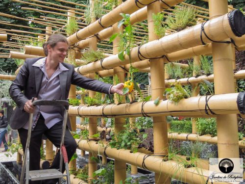 agriculture urbaine en bamboo amaury gallon