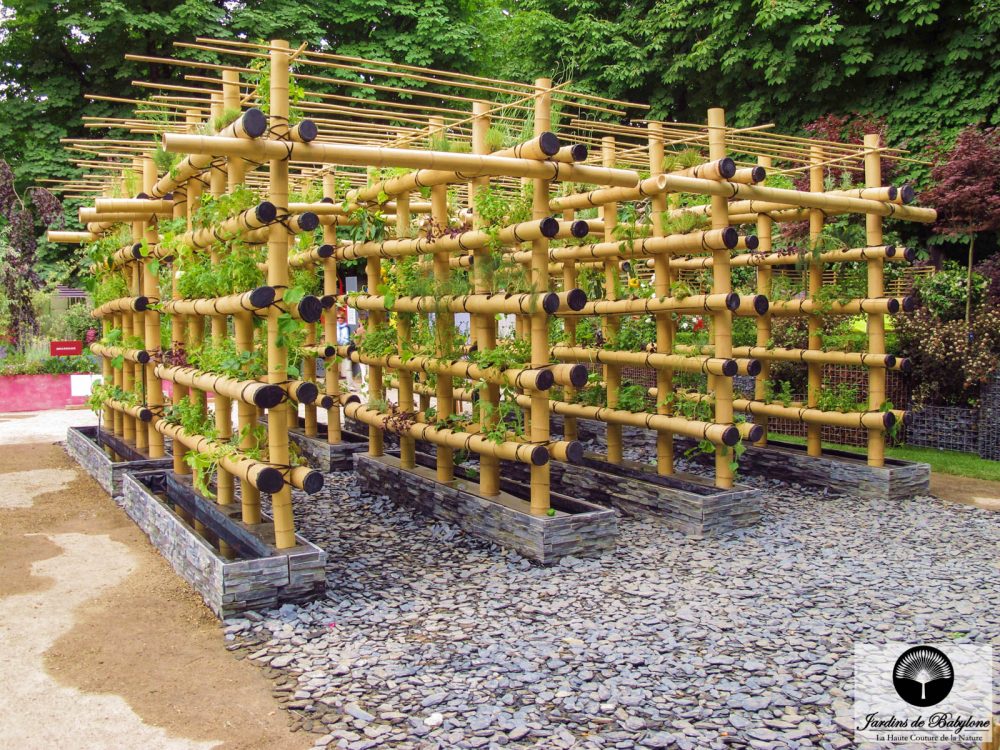 agriculture urbaine Potager urbain en bamboo
