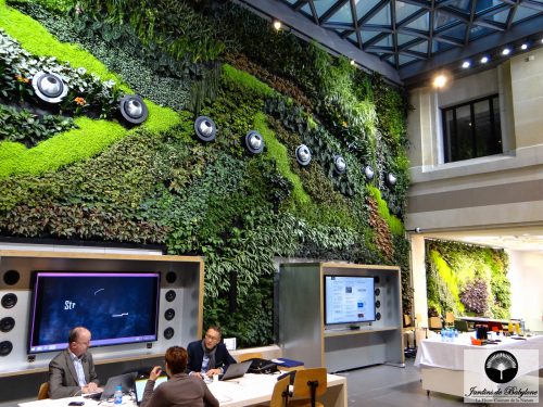 Le jardin vertical / mur végétal intérieur
