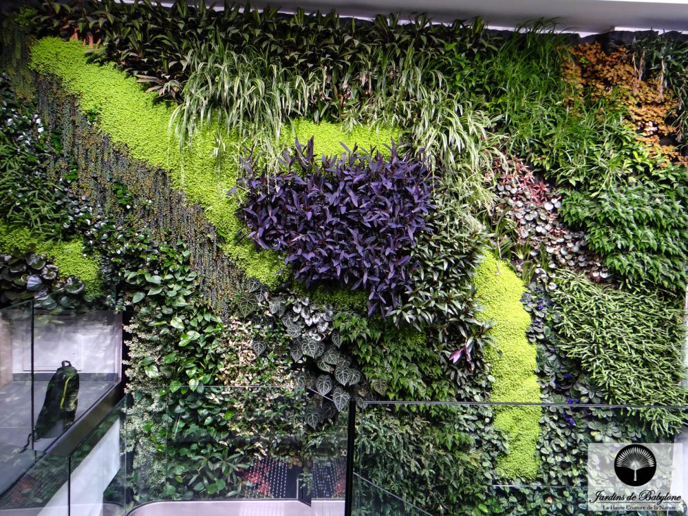 Crédit Agricole Immobilier plantes