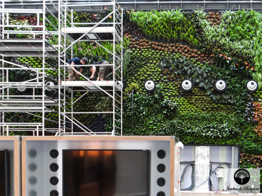 Crédit Agricole Immobilier mettre une plante