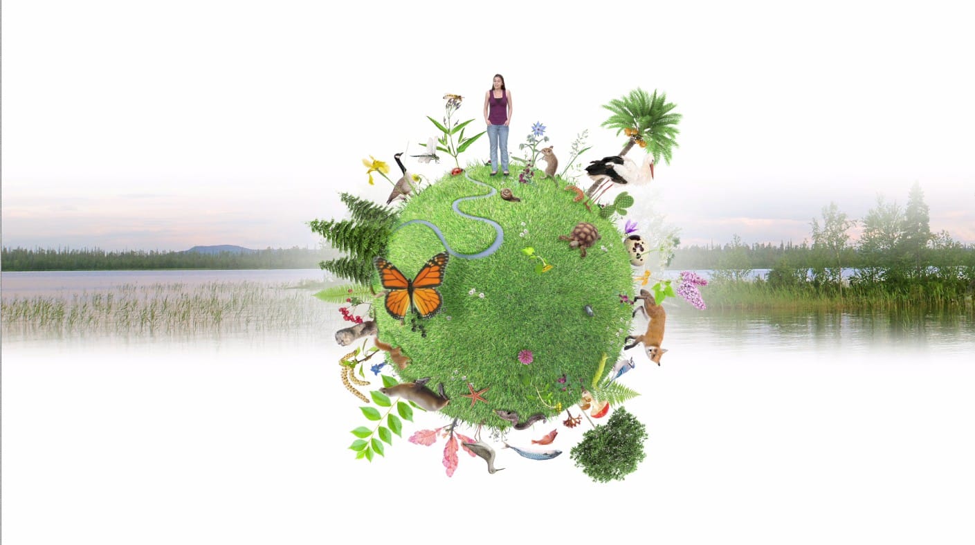 Biodiversité : vert une ville plus verte