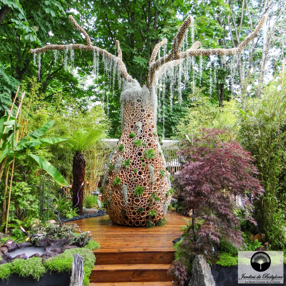 Design végétal : inspiration d'un jardin tropical et son baobab en bambou