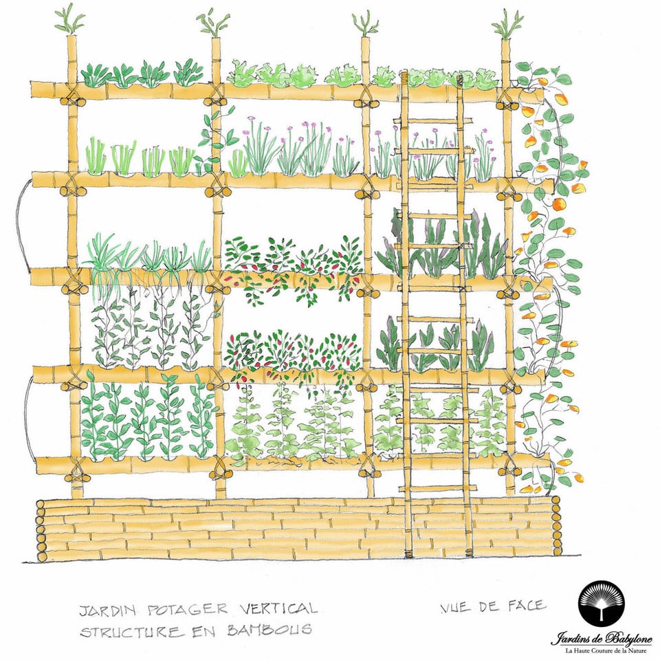 potager vertical imaginé d'un échafaudage en bambou